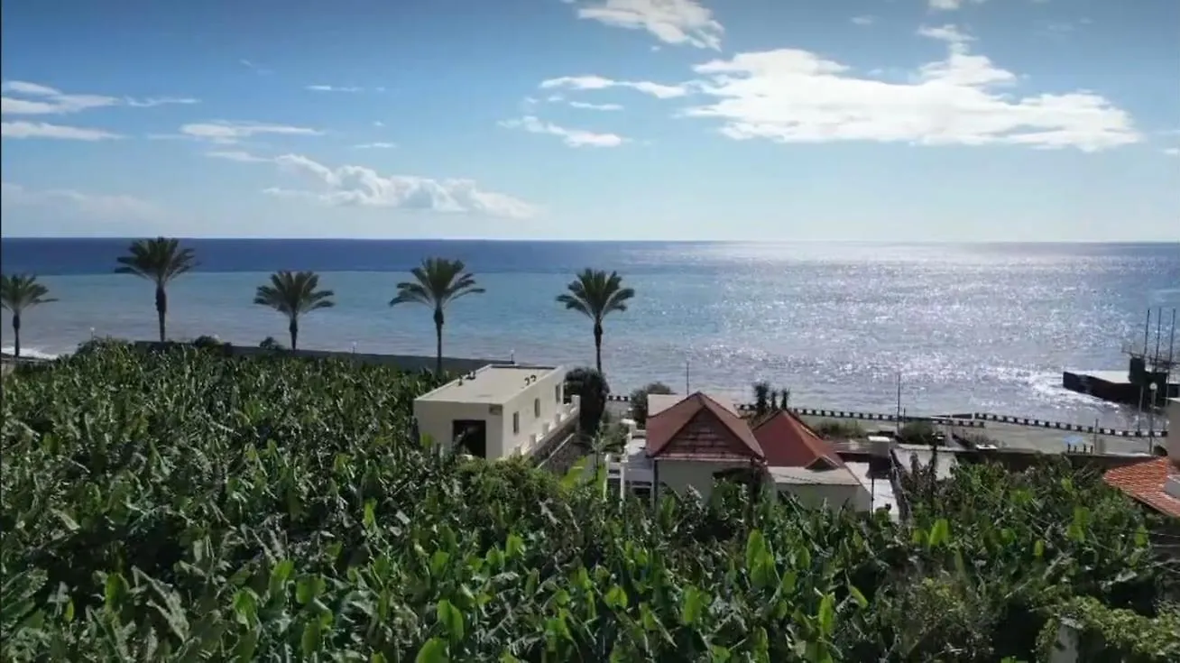Apartment Ferienwohnung Luz No Mar - Frente Madalena do Mar
